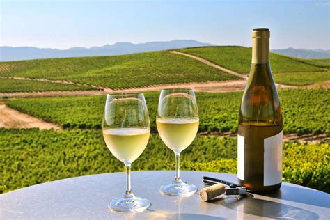 Best wine tasting in napa. Things To Know About Best wine tasting in napa. 